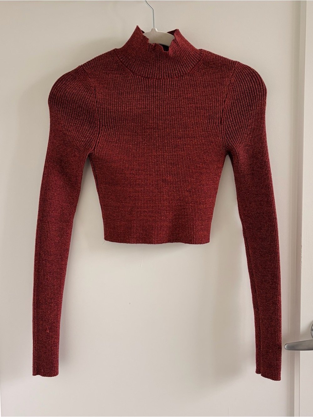 Zara Sparkle Ribbed Knit Top